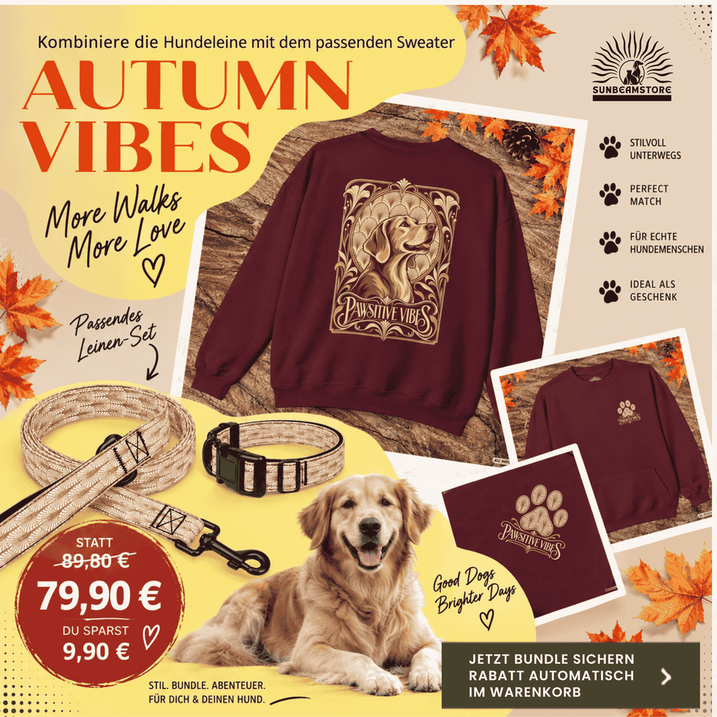 Pawsitive Vibes Sweatshirt – Art-Déco Hundepulli mit elegantem Hundemotiv