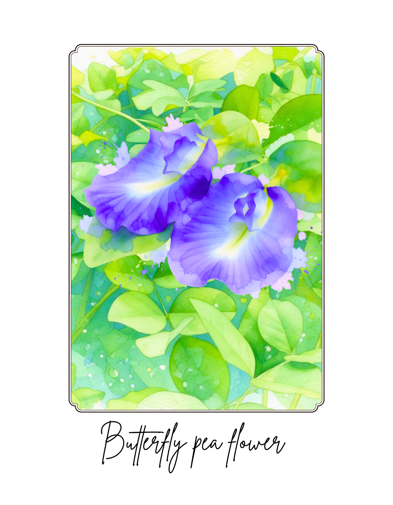 Butterfly Pea Flower T-Shirt Damen – Botanisches Aquarell Shirt – Florales Sommer Top – Nature Lover Geschenk – Boho Pflanzen Design| Gildan® 64000L