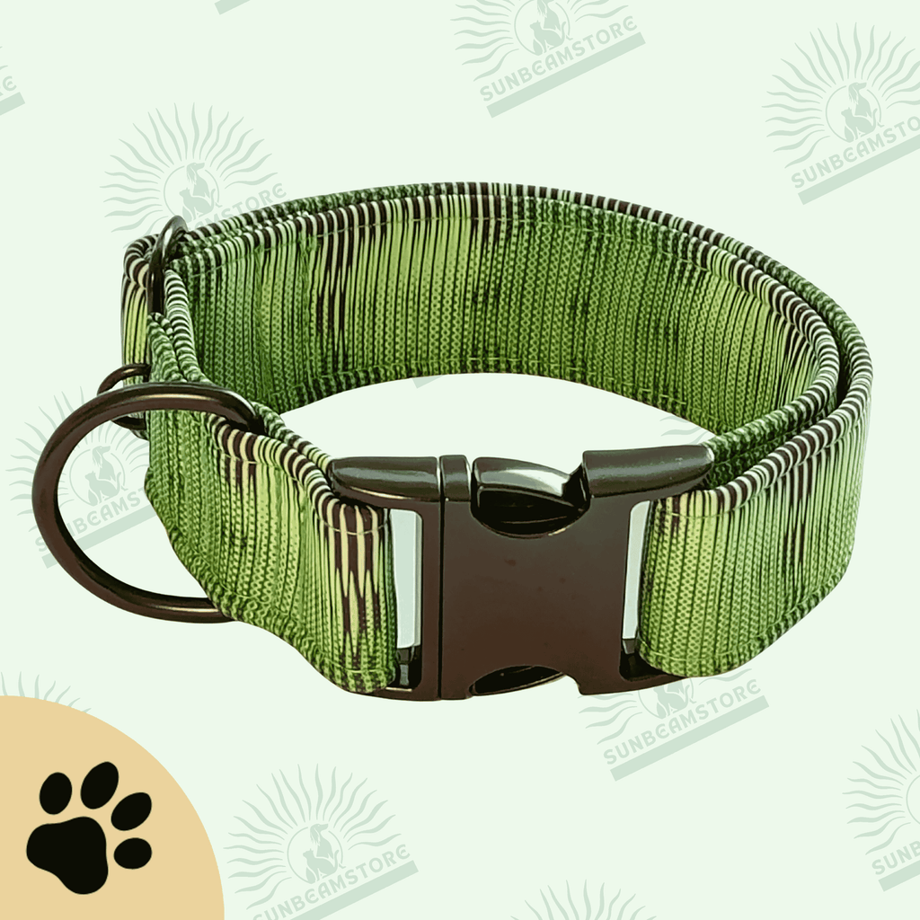 Code – Hundehalsband in Grün mit grafischem Linienmuster | Sunbeamstore - Sunbeamstore