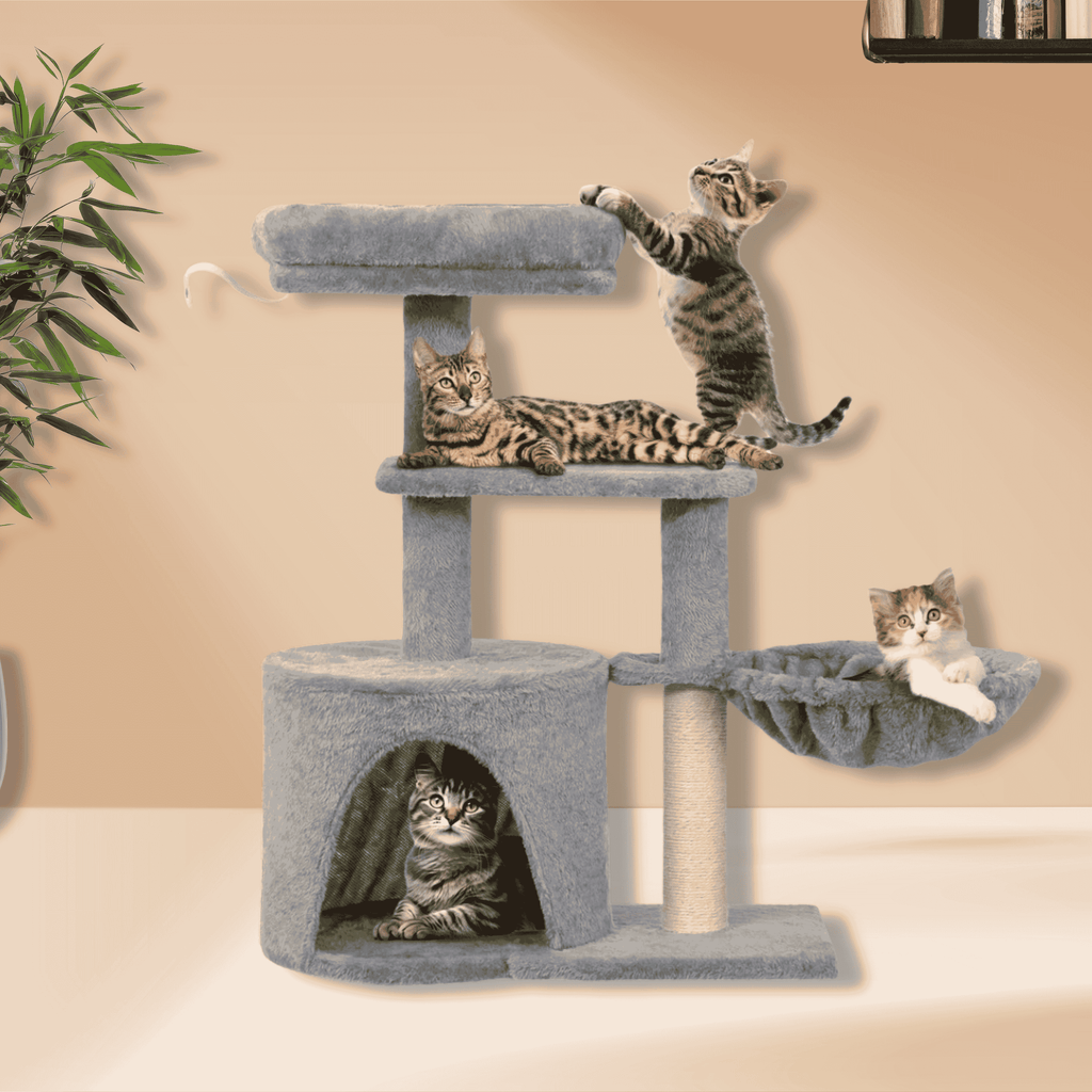 Danoo Katzenkratzbaum – ein Lieblingsplatz auf mehreren Ebenen - Sunbeamstore