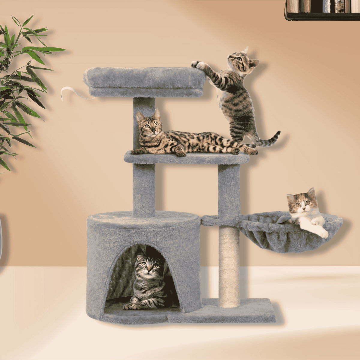 Danoo Katzenkratzbaum – ein Lieblingsplatz auf mehreren Ebenen - Sunbeamstore