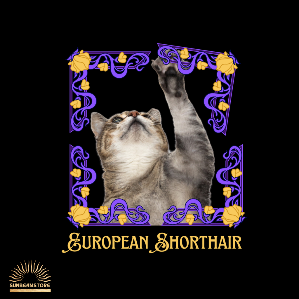 Europäisch Kurzhaar Katzen T-Shirt Damen | European Shorthair Cat Shirt | Cat Lover Shirt | Geschenk für Katzenliebhaber
