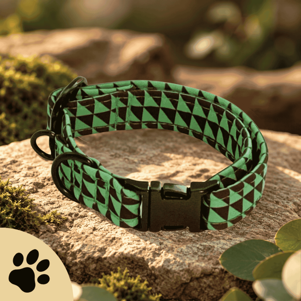 Green Triangle – Design-Hundehalsband mit geometrischem Muster & Metallbeschlägen - Sunbeamstore