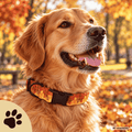 Herbstfeuer - Hundehalsband mit geometrischem Herbstmuster - Sunbeamstore