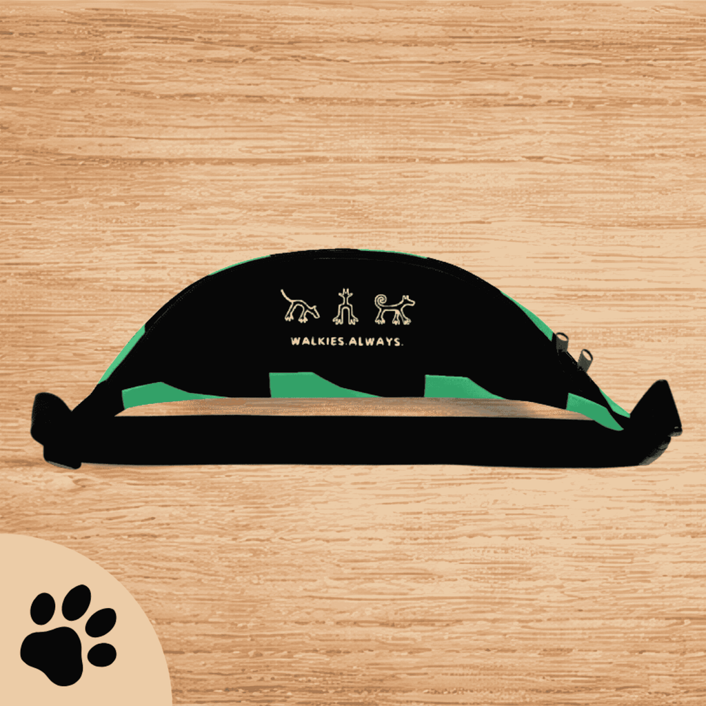 Sunbeamstore Big Treat Bag - "Green Triangle"
