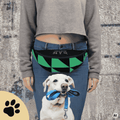 Sunbeamstore Big Treat Bag - "Green Triangle"