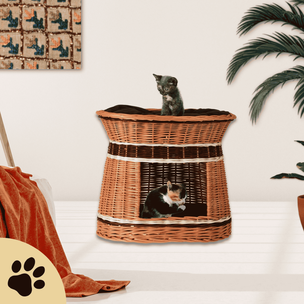 Erif Wicker handgeflochtenes Katzenhaus mit Kissen - Sunbeamstore