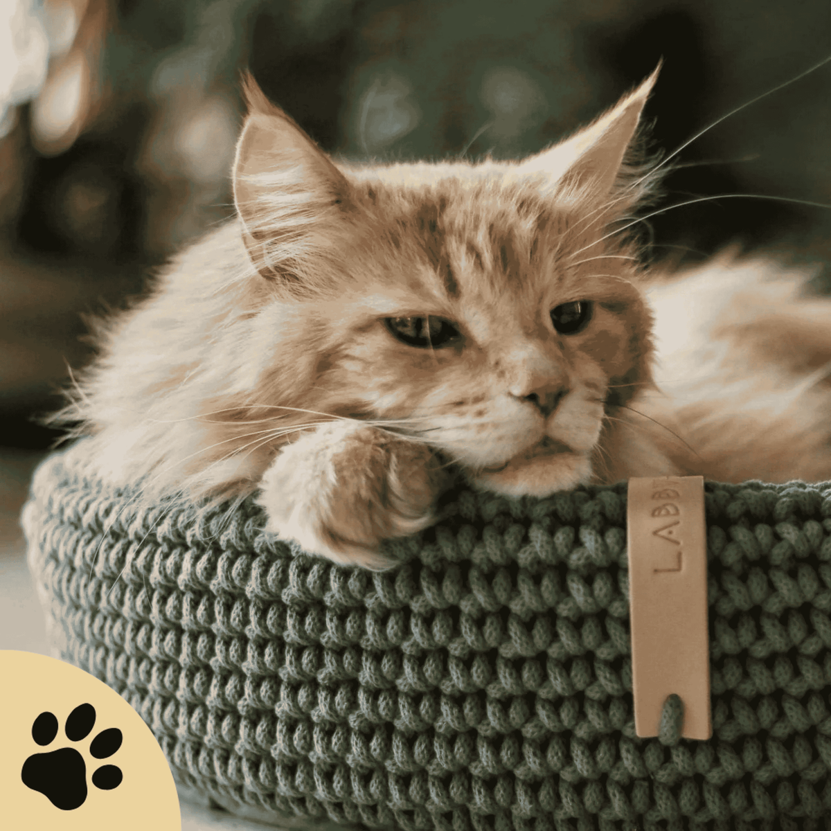 Coco Dog/Cat Bed - Green - Sunbeamstore