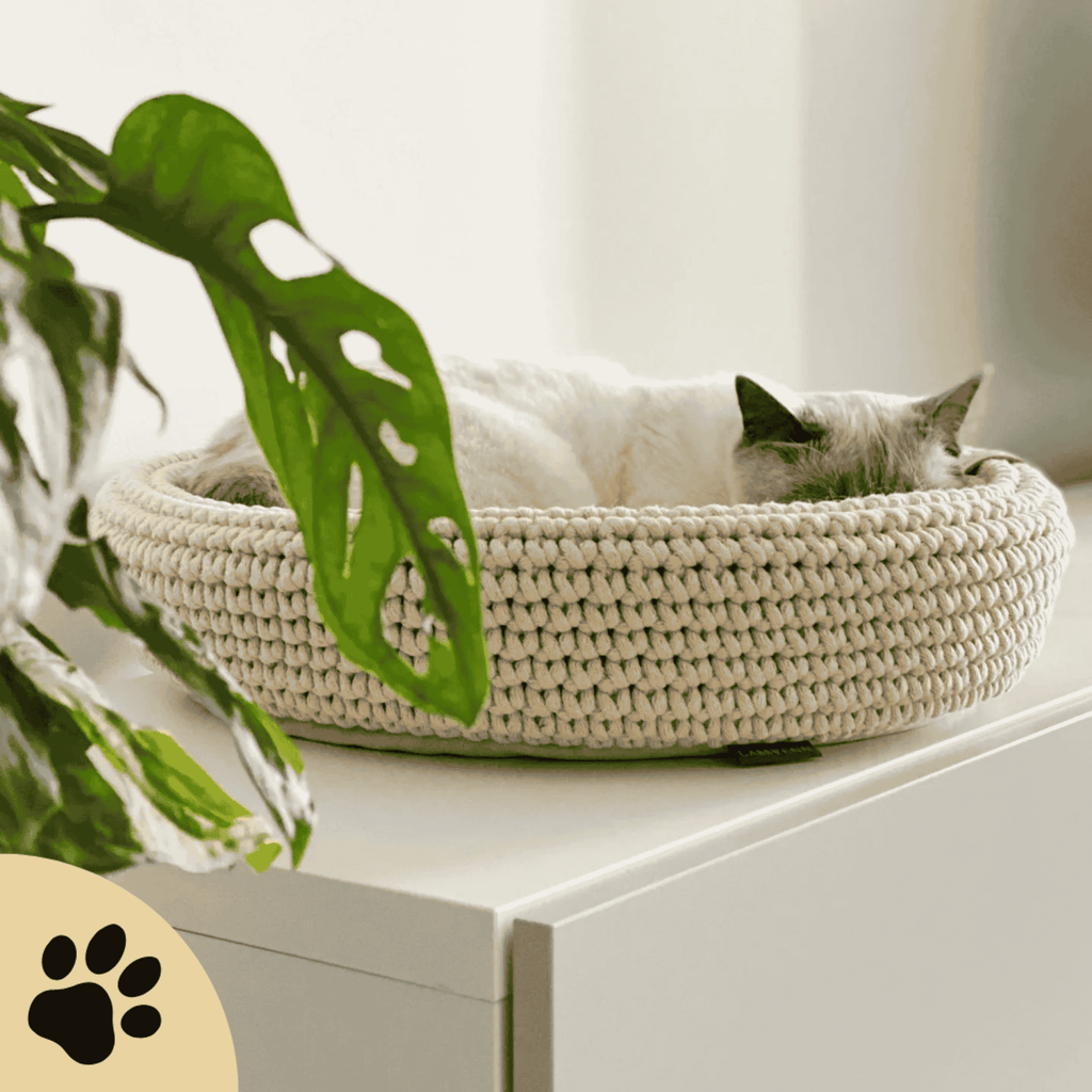 Coco Dog/Cat Bed - Beige - Sunbeamstore