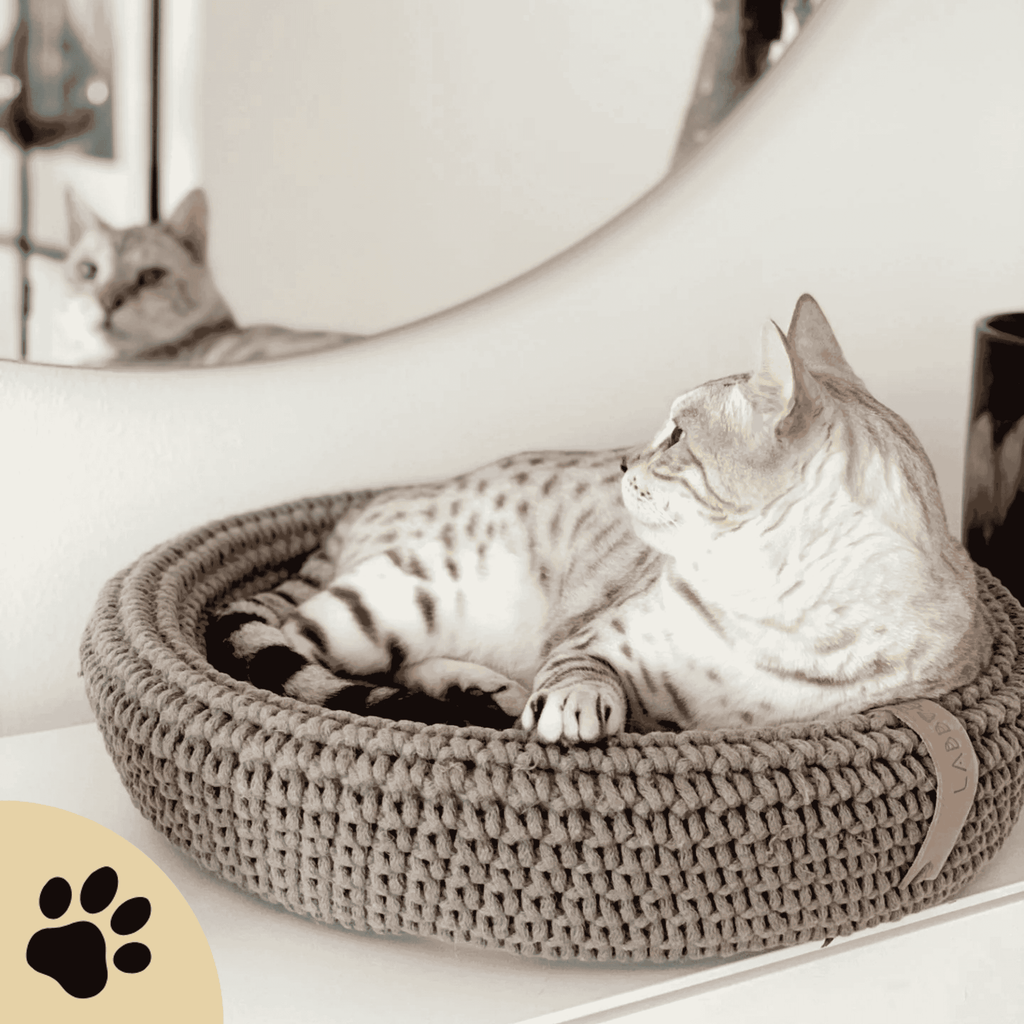 Coco Dog/Cat Bed - Light Brown - Sunbeamstore