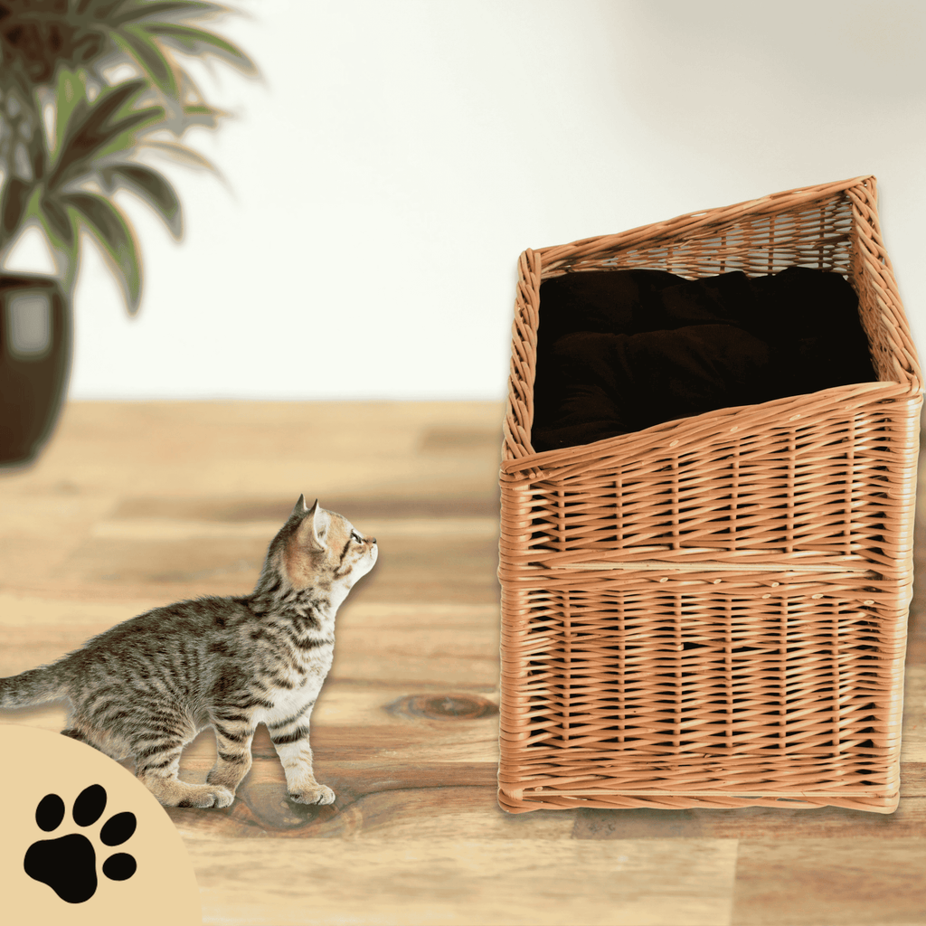 Estrella Katzenhaus – zwei Ebenen, natürlicher Komfort - Sunbeamstore