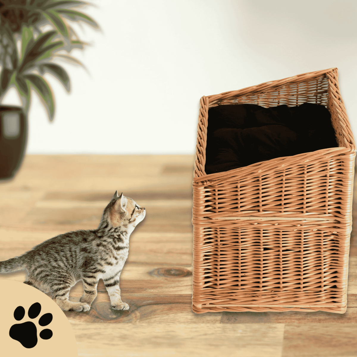 Estrella Katzenhaus – zwei Ebenen, natürlicher Komfort - Sunbeamstore