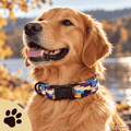 Design Hundehalsband "Pixel" - Gemustertes Halsband für Pixelfans - Sunbeamstore