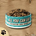 Premium Dog Diner Hundenapf aus Edelstahl – Türkiser Retro Futternapf für Hunde - Sunbeamstore
