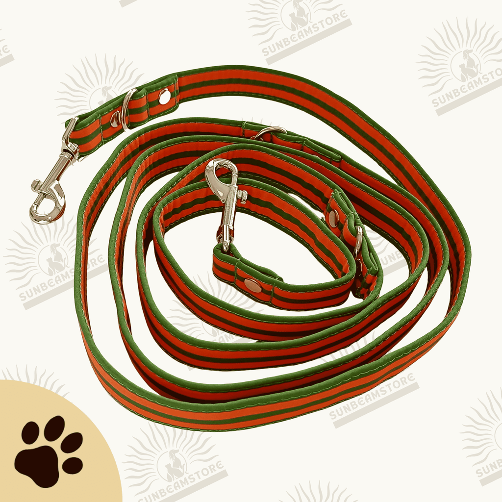 Hundeleine Walkies always - elegant gestreifte Hundeleine in orange-grün - Sunbeamstore
